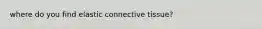where do you find elastic connective tissue?