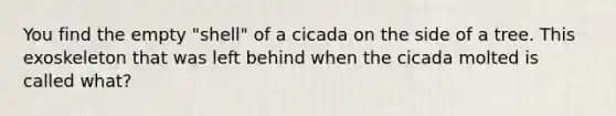 You find the empty "shell" of a cicada on the side of a tree. This exoskeleton that was left behind when the cicada molted is called what?