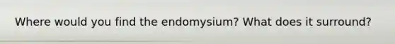 Where would you find the endomysium? What does it surround?