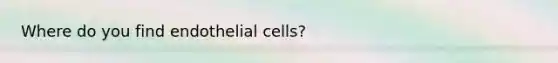 Where do you find endothelial cells?