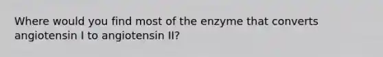 Where would you find most of the enzyme that converts angiotensin I to angiotensin II?