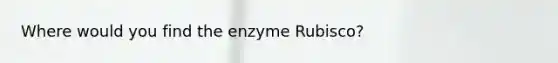 Where would you find the enzyme Rubisco?