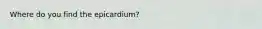 Where do you find the epicardium?