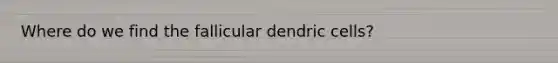 Where do we find the fallicular dendric cells?