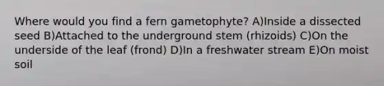 Where would you find a fern gametophyte? A)Inside a dissected seed B)Attached to the underground stem (rhizoids) C)On the underside of the leaf (frond) D)In a freshwater stream E)On moist soil