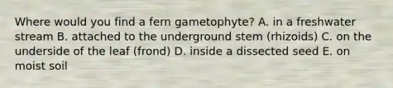 Where would you find a fern gametophyte? A. in a freshwater stream B. attached to the underground stem (rhizoids) C. on the underside of the leaf (frond) D. inside a dissected seed E. on moist soil