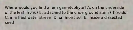 Where would you find a fern gametophyte? A. on the underside of the leaf (frond) B. attached to the underground stem (rhizoids) C. in a freshwater stream D. on moist soil E. inside a dissected seed