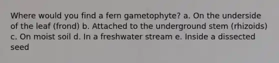Where would you find a fern gametophyte? a. On the underside of the leaf (frond) b. Attached to the underground stem (rhizoids) c. On moist soil d. In a freshwater stream e. Inside a dissected seed