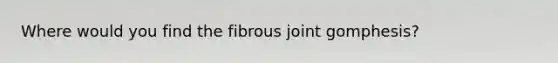 Where would you find the fibrous joint gomphesis?