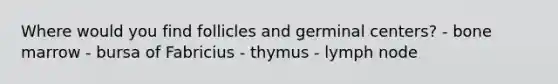 Where would you find follicles and germinal centers? - bone marrow - bursa of Fabricius - thymus - lymph node