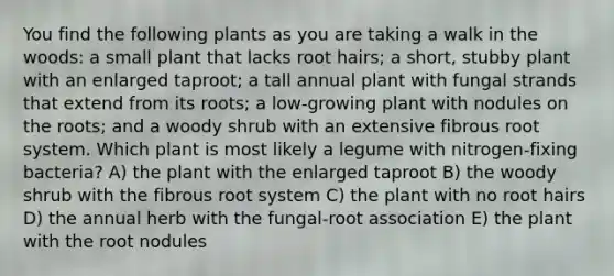 You find the following plants as you are taking a walk in the woods: a small plant that lacks root hairs; a short, stubby plant with an enlarged taproot; a tall annual plant with fungal strands that extend from its roots; a low-growing plant with nodules on the roots; and a woody shrub with an extensive fibrous root system. Which plant is most likely a legume with nitrogen-fixing bacteria? A) the plant with the enlarged taproot B) the woody shrub with the fibrous root system C) the plant with no root hairs D) the annual herb with the fungal-root association E) the plant with the root nodules