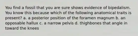 You find a fossil that you are sure shows evidence of bipedalism. You know this because which of the following anatomical traits is present? a. a posterior position of the foramen magnum b. an opposable hallux c. a narrow pelvis d. thighbones that angle in toward the knees