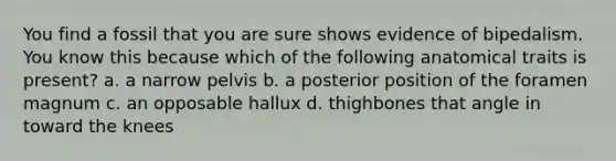 You find a fossil that you are sure shows evidence of bipedalism. You know this because which of the following anatomical traits is present? a. a narrow pelvis b. a posterior position of the foramen magnum c. an opposable hallux d. thighbones that angle in toward the knees