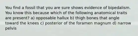 You find a fossil that you are sure shows evidence of bipedalism. You know this because which of the following anatomical traits are present? a) opposable hallux b) thigh bones that angle toward the knees c) posterior of the foramen magnum d) narrow pelvis