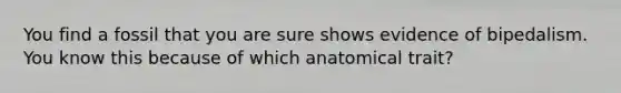 You find a fossil that you are sure shows evidence of bipedalism. You know this because of which anatomical trait?