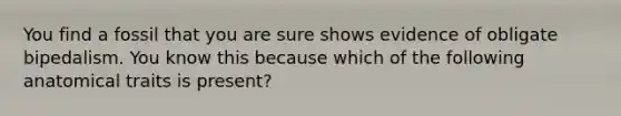 You find a fossil that you are sure shows evidence of obligate bipedalism. You know this because which of the following anatomical traits is present?