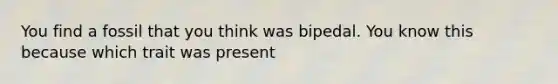 You find a fossil that you think was bipedal. You know this because which trait was present