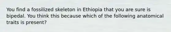 You find a fossilized skeleton in Ethiopia that you are sure is bipedal. You think this because which of the following anatomical traits is present?