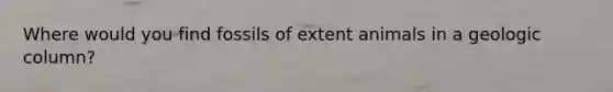 Where would you find fossils of extent animals in a geologic column?