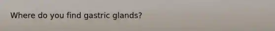 Where do you find gastric glands?