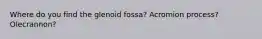 Where do you find the glenoid fossa? Acromion process? Olecrannon?