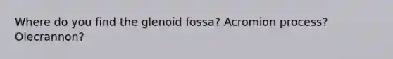 Where do you find the glenoid fossa? Acromion process? Olecrannon?