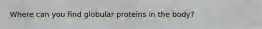 Where can you find globular proteins in the body?