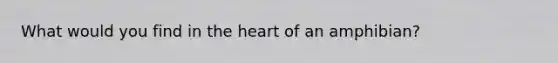 What would you find in <a href='https://www.questionai.com/knowledge/kya8ocqc6o-the-heart' class='anchor-knowledge'>the heart</a> of an amphibian?