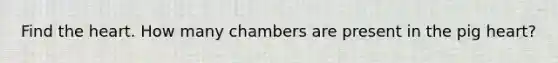 Find the heart. How many chambers are present in the pig heart?