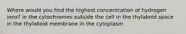 Where would you find the highest concentration of hydrogen ions? in the cytochromes outside the cell in the thylakoid space in the thylakoid membrane in the cytoplasm