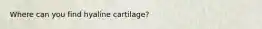 Where can you find hyaline cartilage?