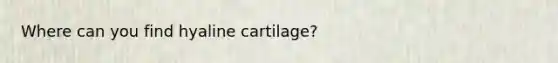 Where can you find hyaline cartilage?