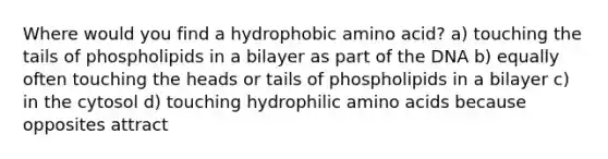 Where would you find a hydrophobic amino acid? a) touching the tails of phospholipids in a bilayer as part of the DNA b) equally often touching the heads or tails of phospholipids in a bilayer c) in the cytosol d) touching hydrophilic <a href='https://www.questionai.com/knowledge/k9gb720LCl-amino-acids' class='anchor-knowledge'>amino acids</a> because opposites attract