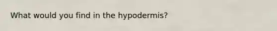 What would you find in the hypodermis?