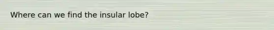 Where can we find the insular lobe?