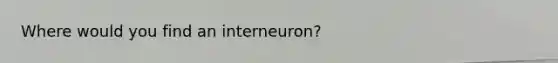 Where would you find an interneuron?