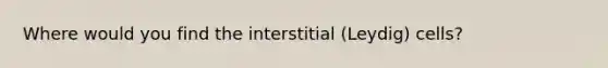 Where would you find the interstitial (Leydig) cells?