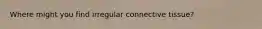 Where might you find irregular connective tissue?