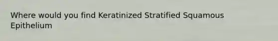 Where would you find Keratinized Stratified Squamous Epithelium