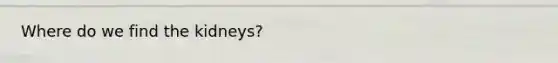 Where do we find the kidneys?