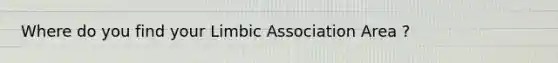 Where do you find your Limbic Association Area ?