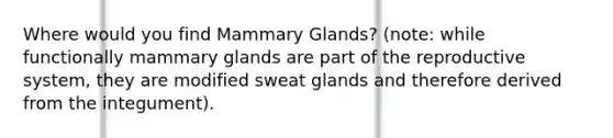 Where would you find Mammary Glands? (note: while functionally mammary glands are part of the reproductive system, they are modified sweat glands and therefore derived from the integument).