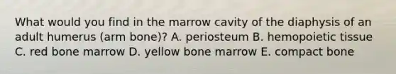 What would you find in the marrow cavity of the diaphysis of an adult humerus (arm bone)? A. periosteum B. hemopoietic tissue C. red bone marrow D. yellow bone marrow E. compact bone