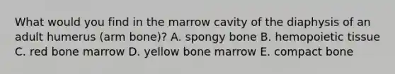 What would you find in the marrow cavity of the diaphysis of an adult humerus (arm bone)? A. spongy bone B. hemopoietic tissue C. red bone marrow D. yellow bone marrow E. compact bone