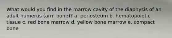 What would you find in the marrow cavity of the diaphysis of an adult humerus (arm bone)? a. periosteum b. hematopoietic tissue c. red bone marrow d. yellow bone marrow e. compact bone