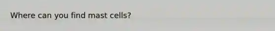 Where can you find mast cells?