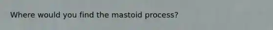 Where would you find the mastoid process?