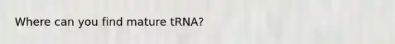 Where can you find mature tRNA?