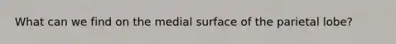 What can we find on the medial surface of the parietal lobe?