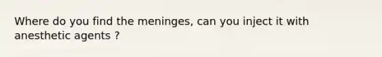 Where do you find the meninges, can you inject it with anesthetic agents ?